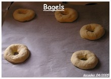 Images Papilles et Pupilles - Bagels