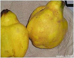 Coings avant brossage