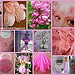 Mosaique Rose de Mai