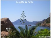 Coups de coeurs en Corse Coups de coeur en Corse
