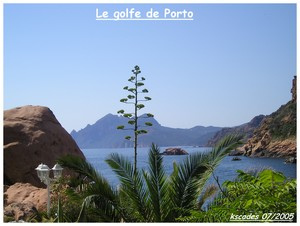 Corse - Porto