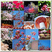 Mosaique rose de mai - 5