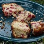 Cake aux airelles et aux noix de pécan