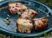 Cake aux airelles et aux noix de pécan