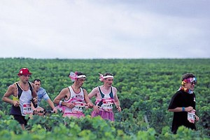 Marathon du Médoc