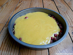 Gâteau aux cranberries