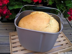 Brioche du Poussin Brioche du Poussin