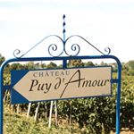 chateau_puy_damour