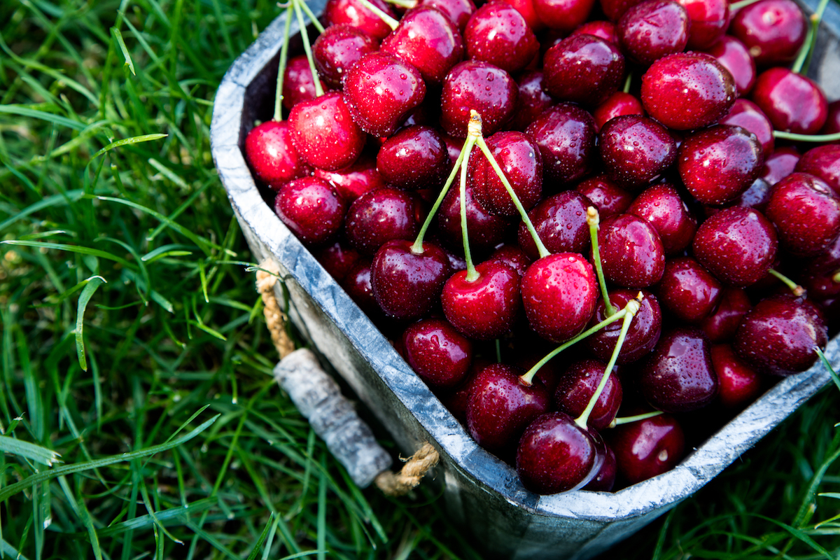 Cerises ©Ivanna Grigorova shutterstock