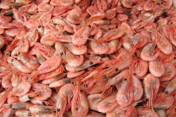 Crevettes