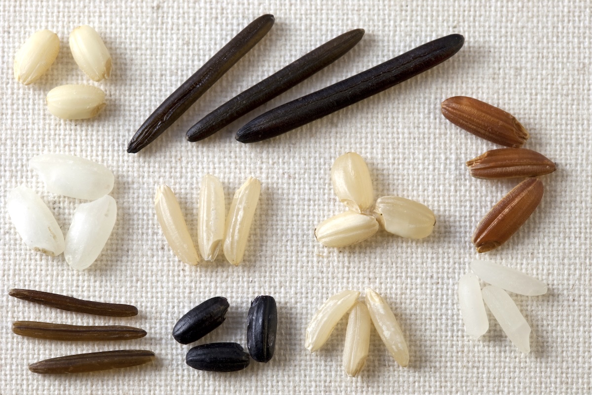 Différentes variétés de riz ©Shutterstock