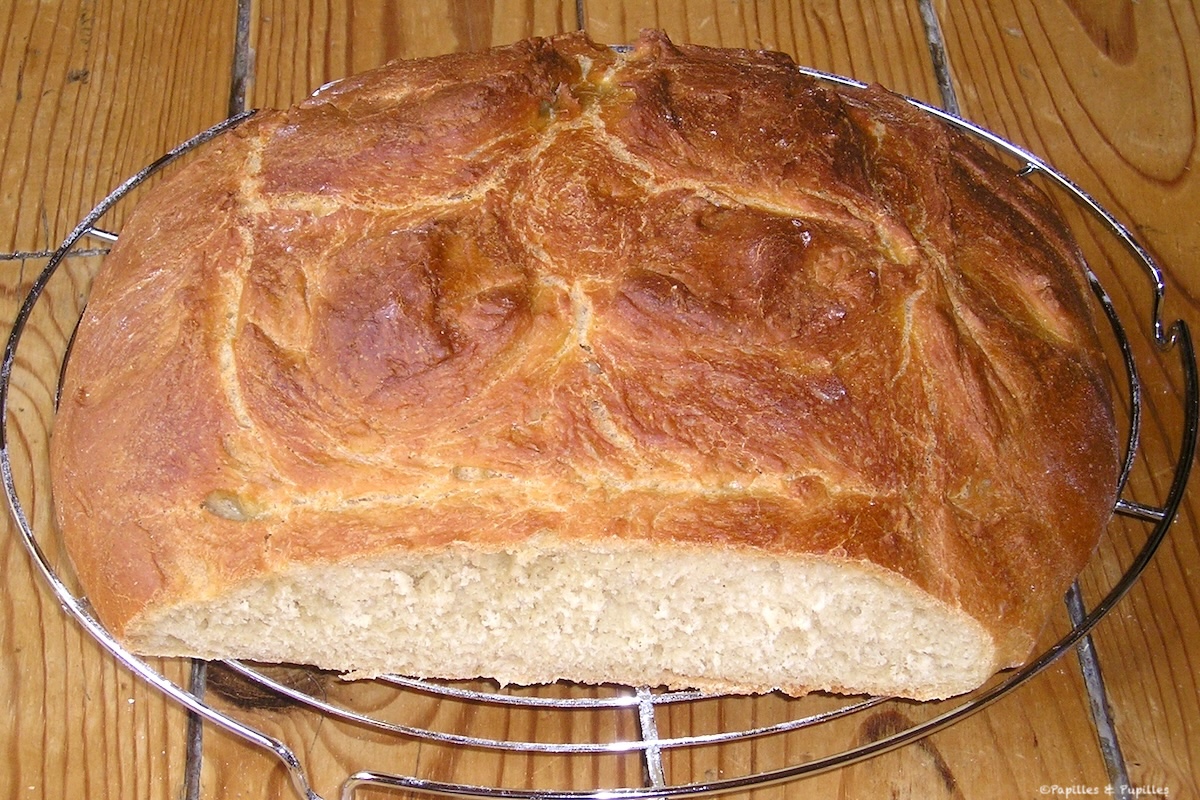 Pain poolish cardamome