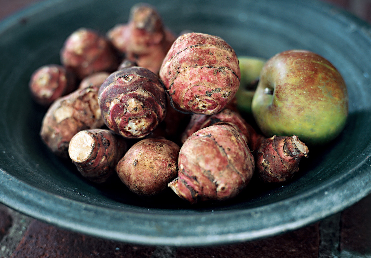 Topinambours ©Skanska Matupplevelser CCBY?D20