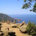 Corse