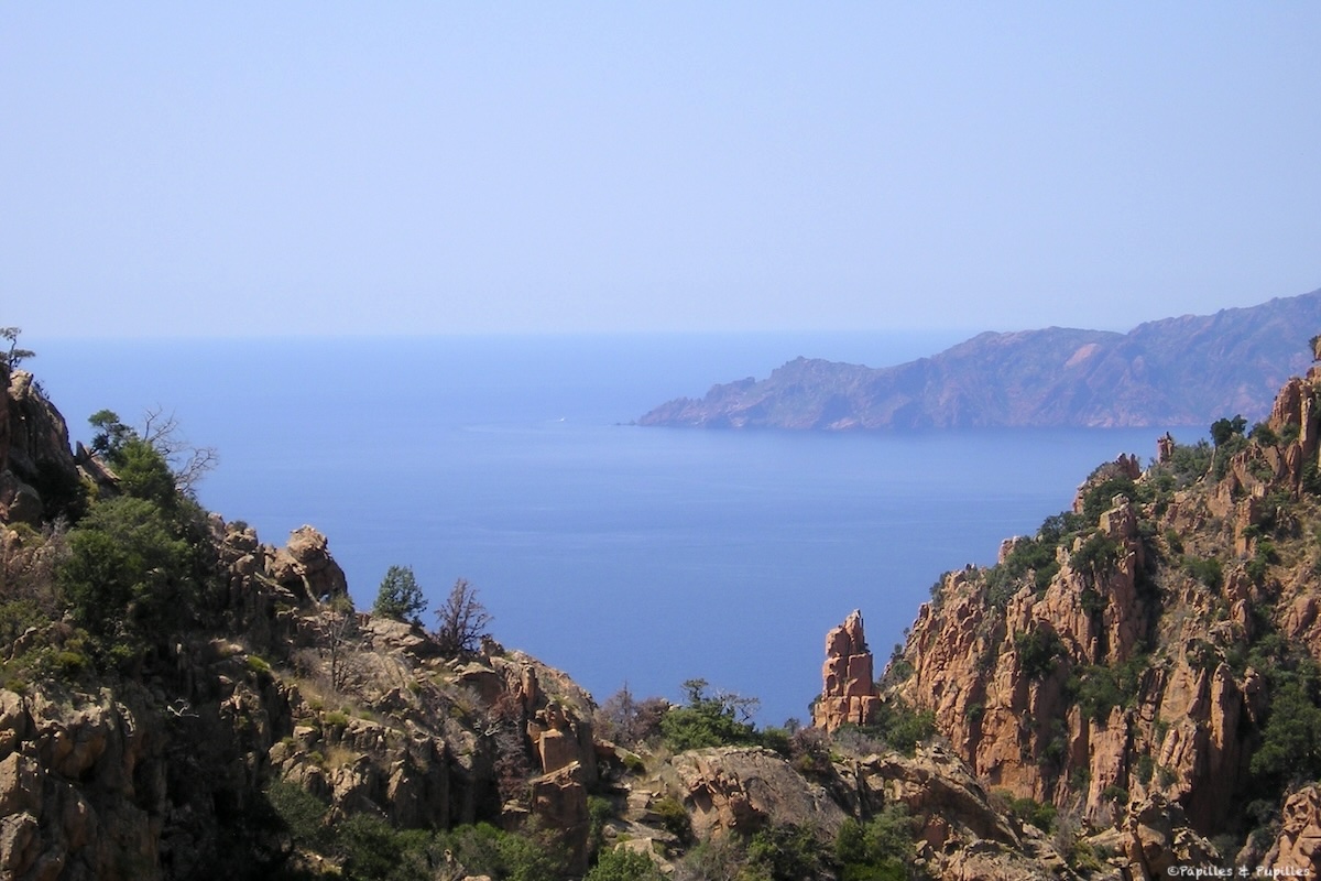 Corse
