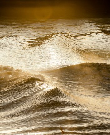 Mascaret ©FreeProd33 shutterstock