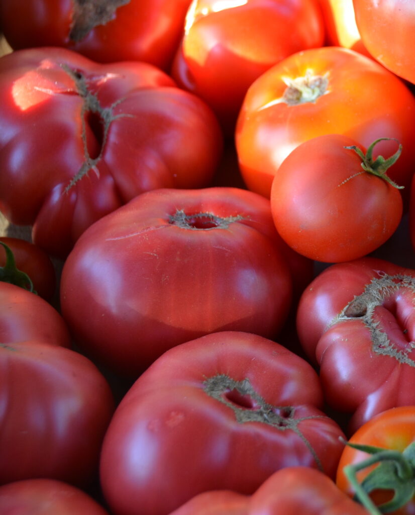 Tomates ©Rob Bertholf CC BY 2.0