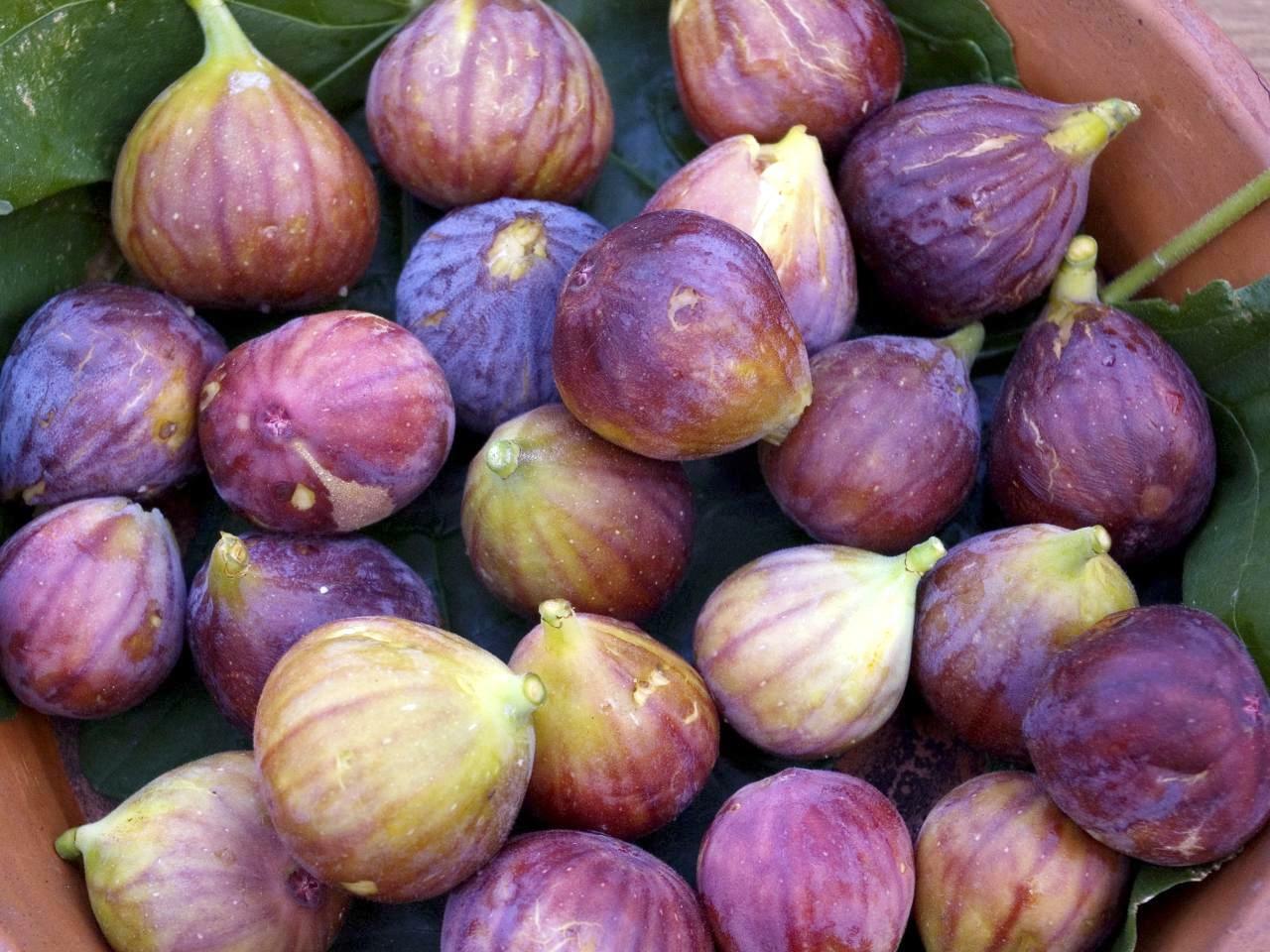 Figues ©Bill Benzon CC BY-SA 2.0