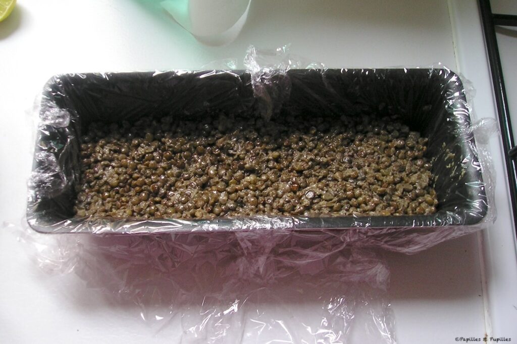 Filmez et ajoutez la 1/2 des lentilles