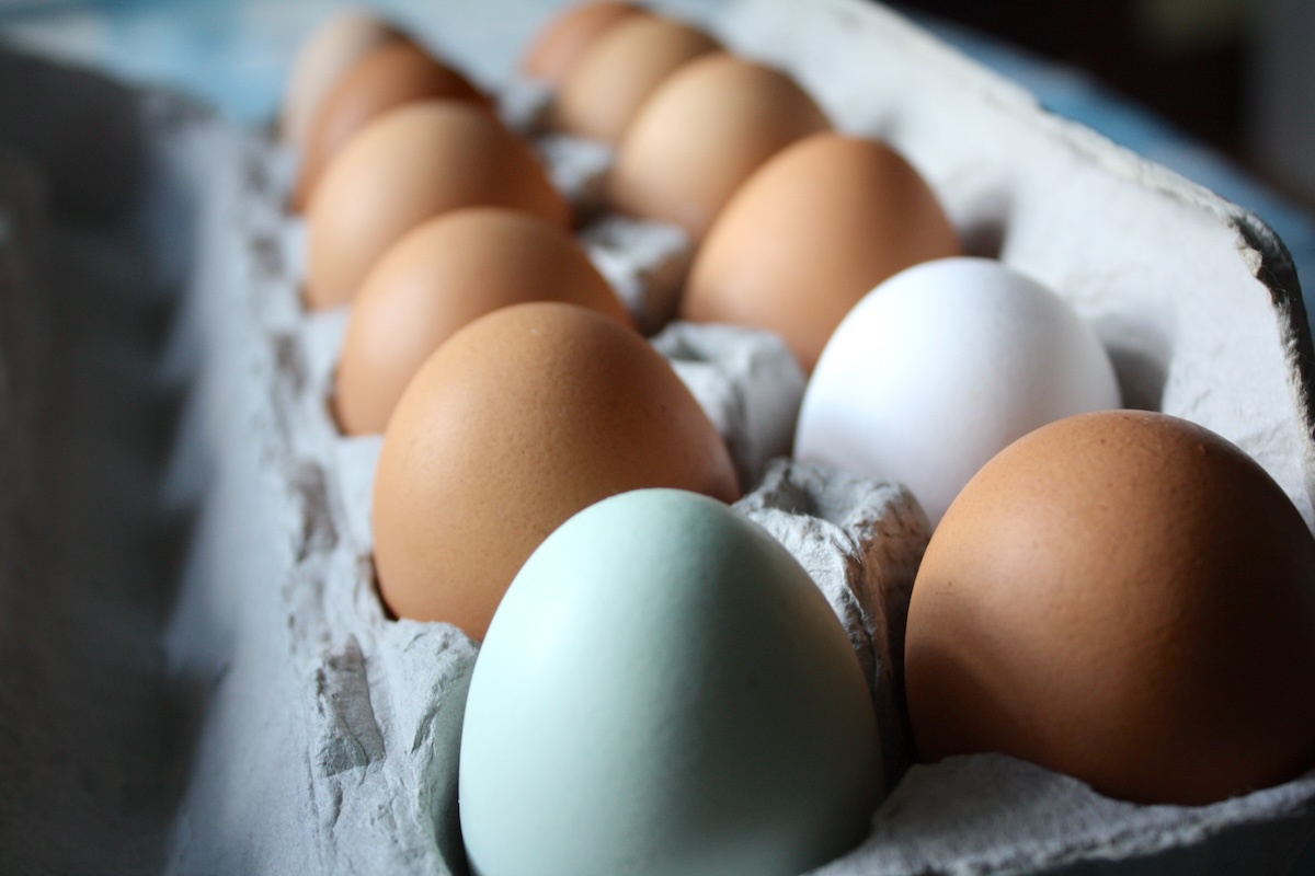 Oeufs ©Anne White CC BY-NC 2.0