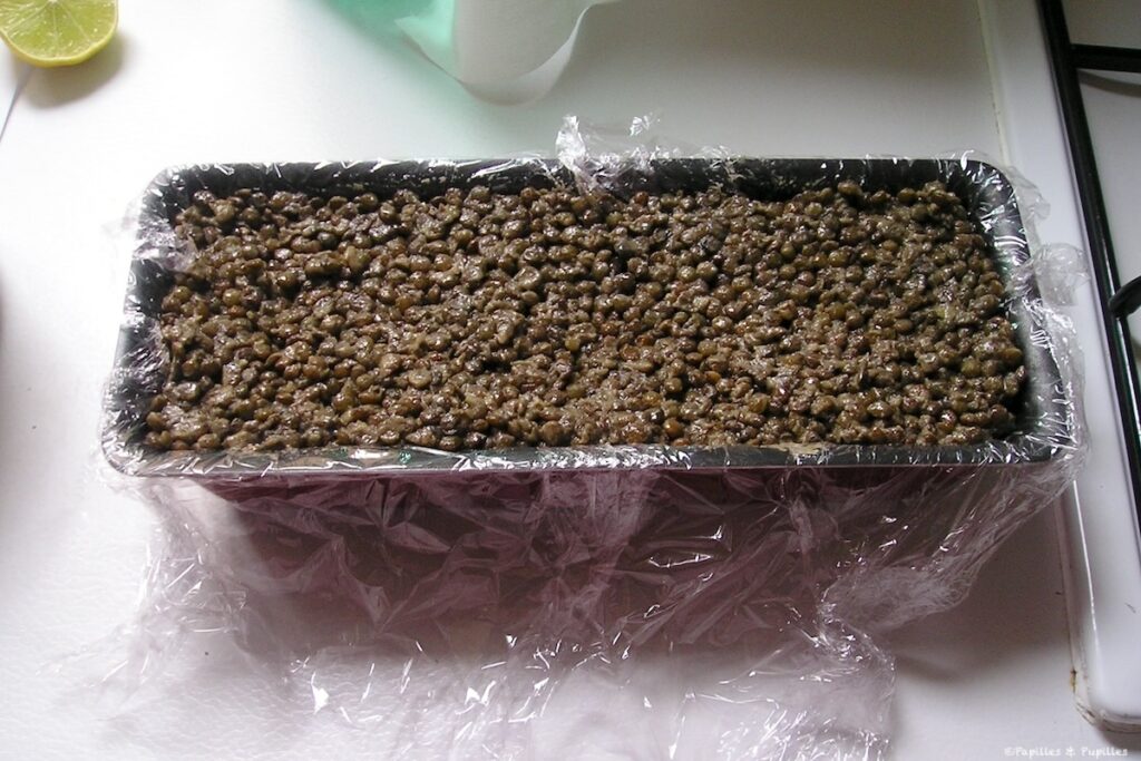 Couvrez avec le reste de lentilles