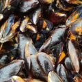Moules marinières