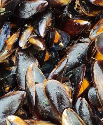 Moules marinières