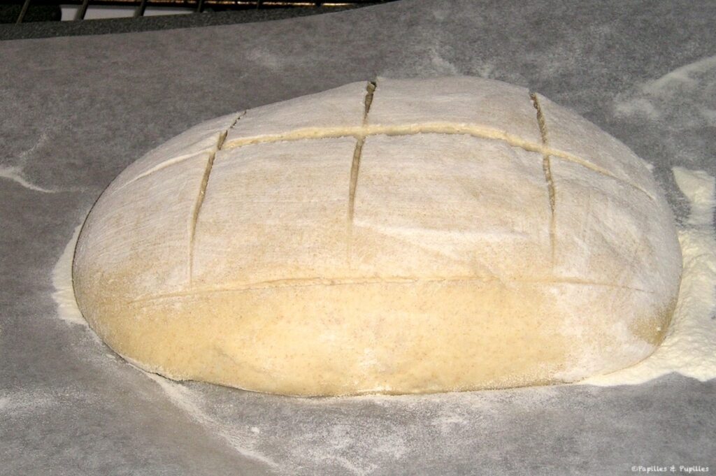Pâton incisé