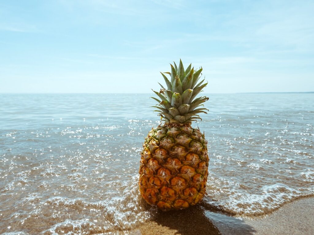 Ananas ©Pixabay