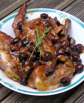 Lapin de la garrigue