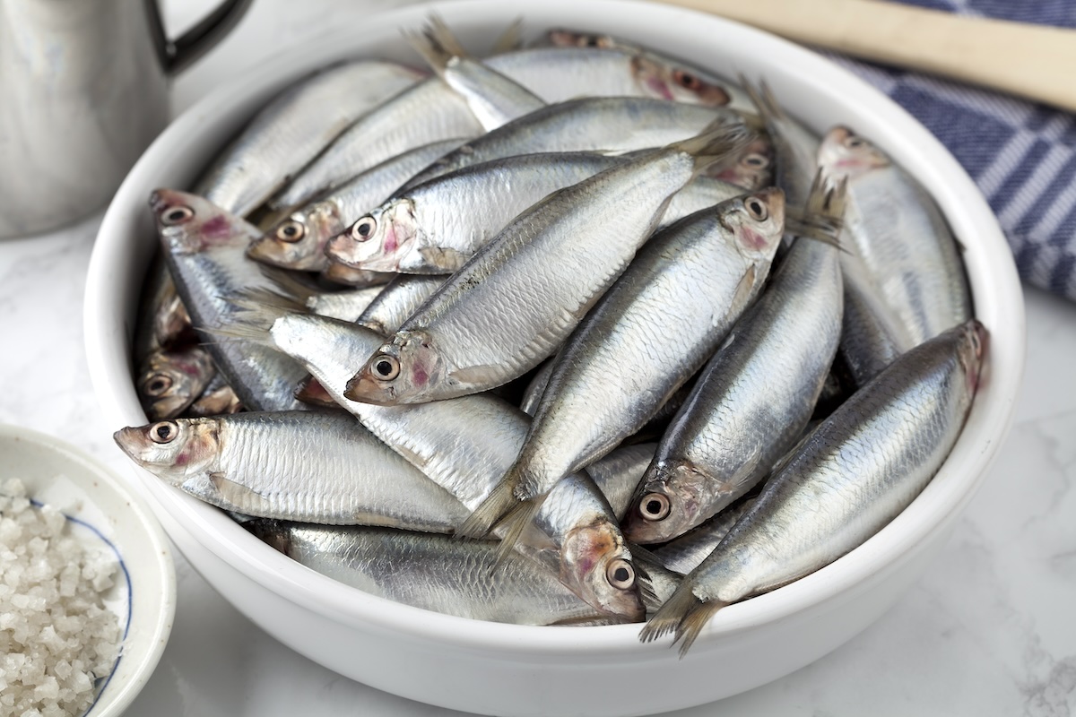 Sprats ©Shutterstock