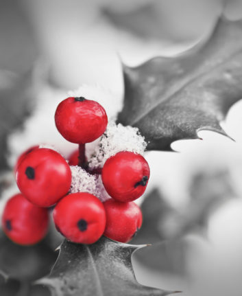 Noël ©Delpixel shutterstock