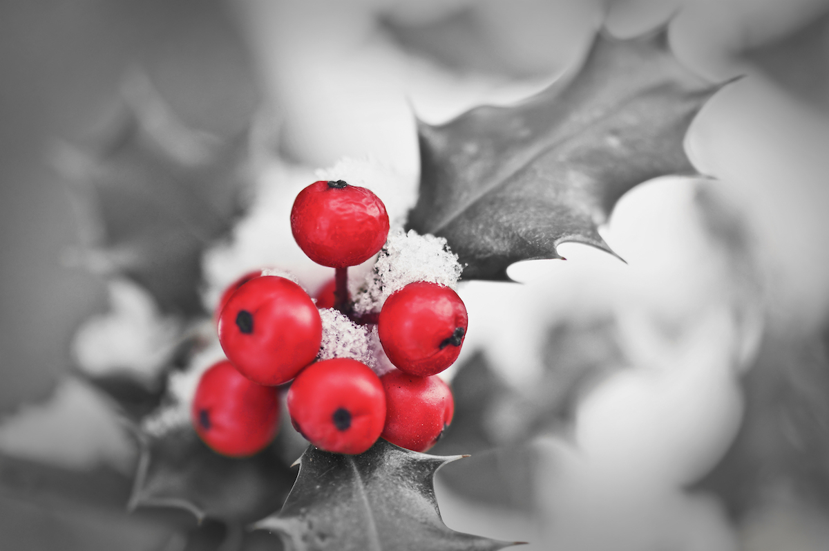 Noël ©Delpixel shutterstock