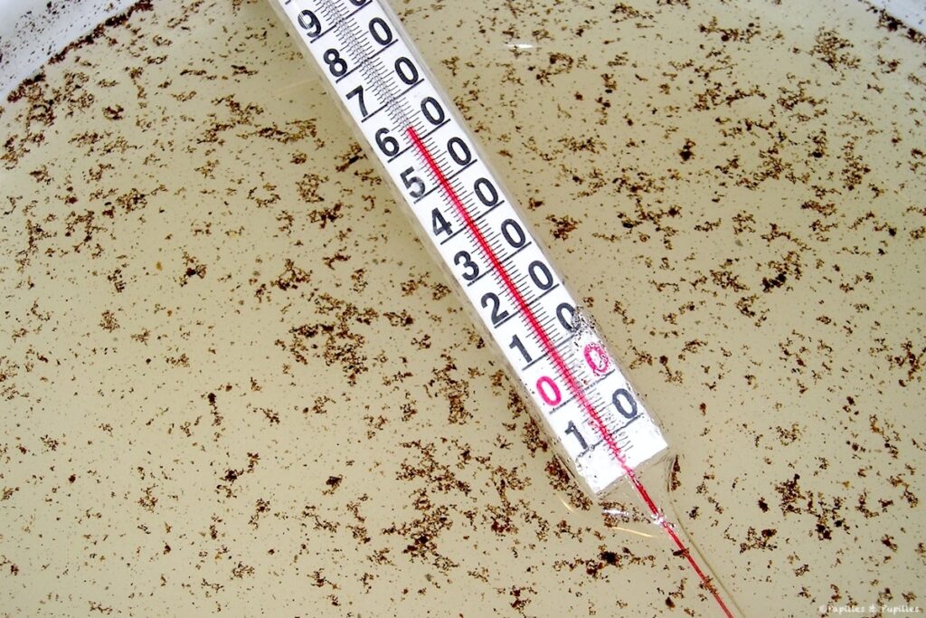 Châtaignes dans le sirop