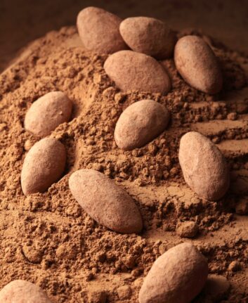 Amandes au chocolat ©Shulevskyy Volodymyr shutterstock
