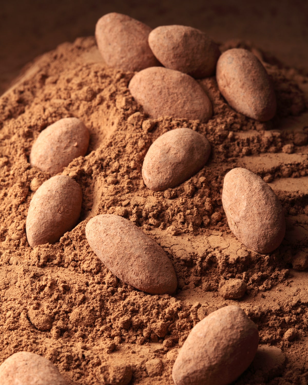 Amandes au chocolat ©Shulevskyy Volodymyr shutterstock