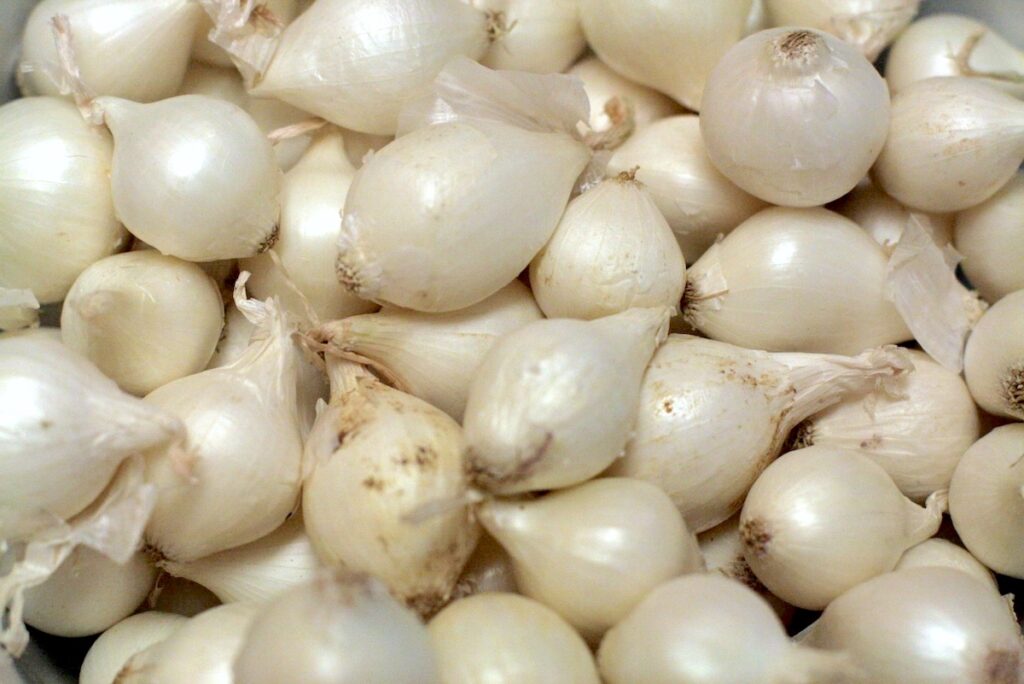 Oignons grelots ©Jules Morgan CC BY 2.0