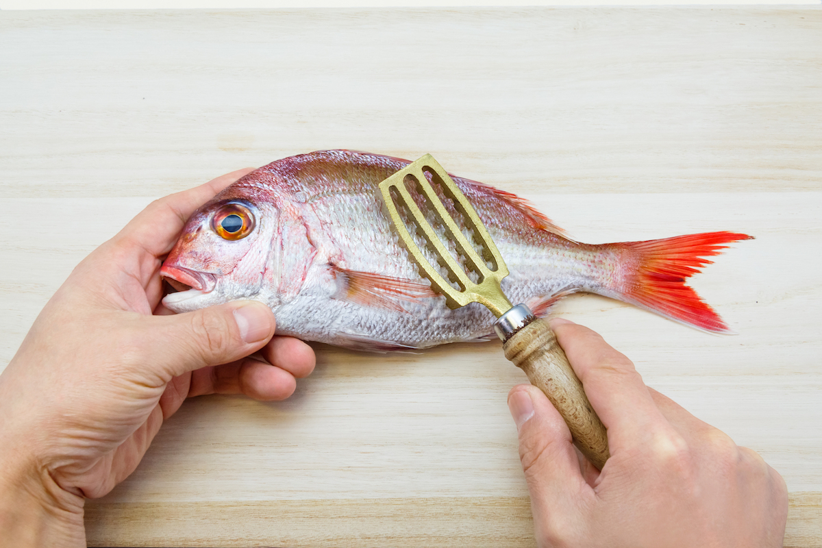 Ecailleur à poisson ©stella_photo shutterstock