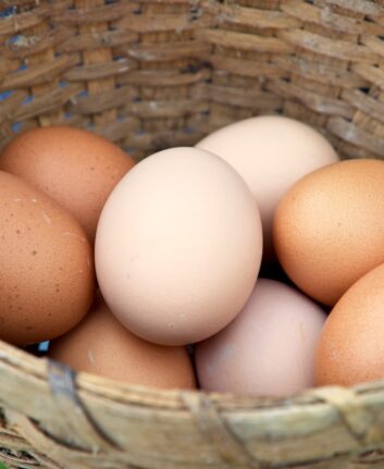 Oeufs ©United Soybean Board CC BY 2.0