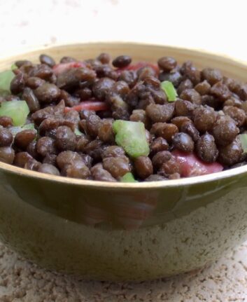 Salade de lentilles au magret séché et Verjus du Périgord