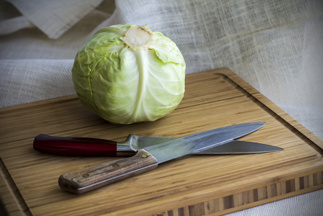 Chou blanc (c) elegeyda shutterstock