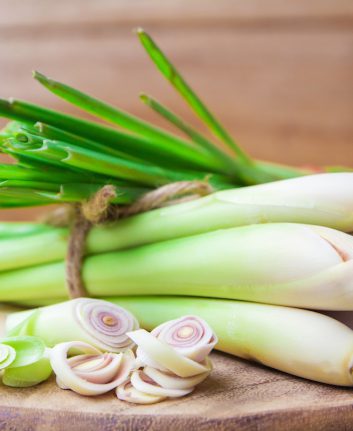 Citronnelle ©NUM LPPHOTO shutterstock