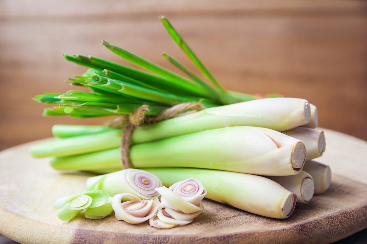 Citronnelle ©NUM LPPHOTO shutterstock