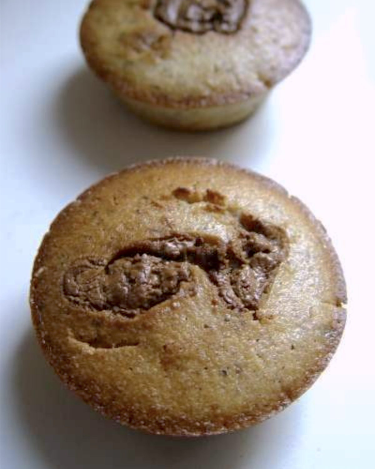 Moelleux au pralin et aux noisettes, sans oeufs