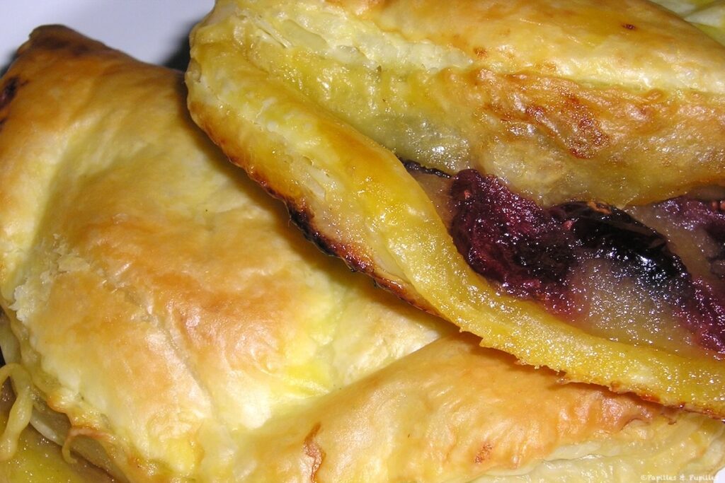 Petits chaussons aux pommes et aux cranberries