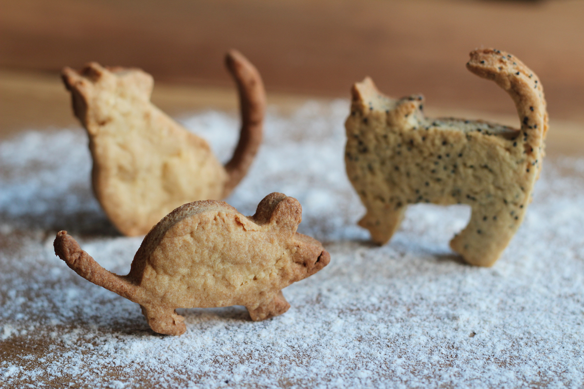 Shortbread au pavot ©mandarinka25 shutterstock