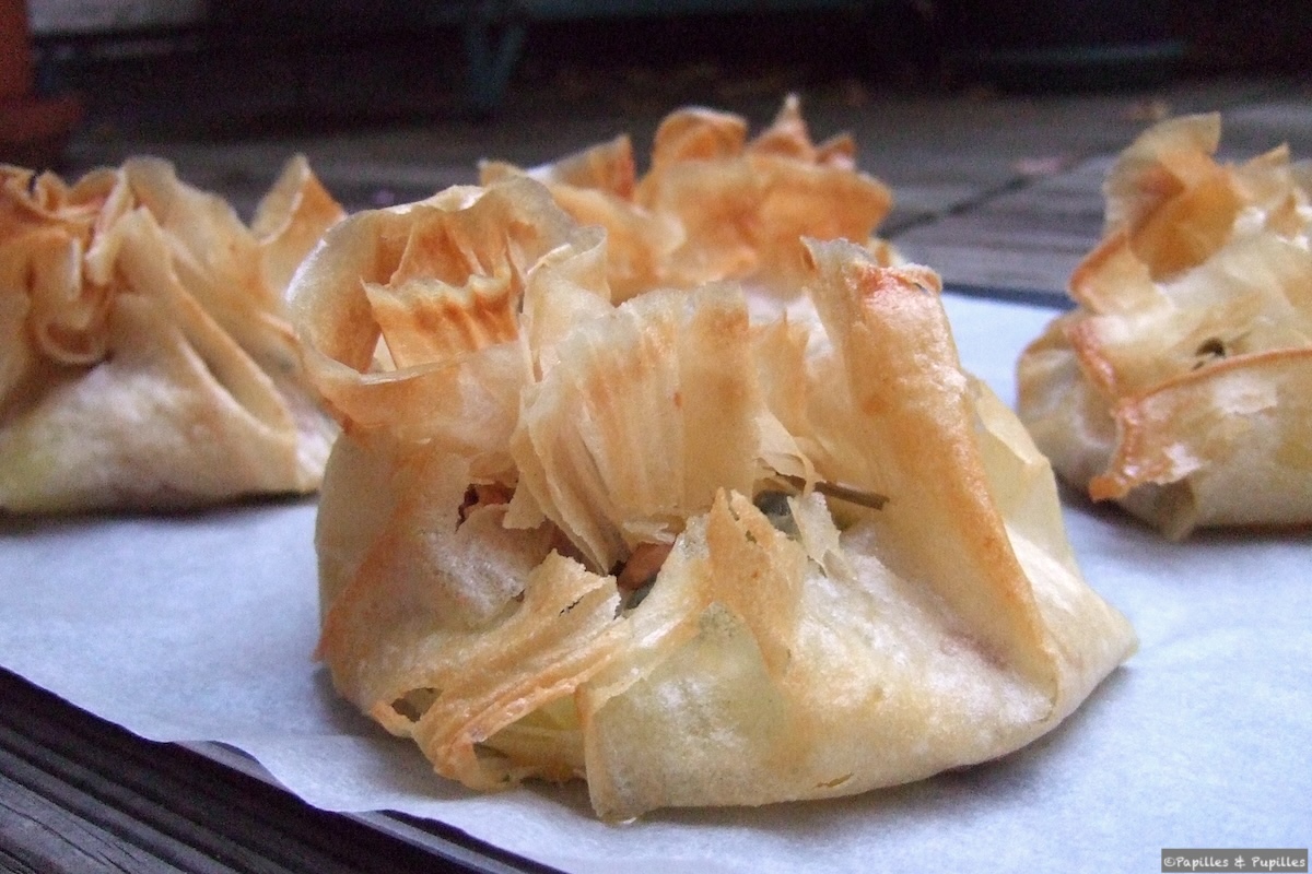 Bricks au thon et aux pommes de terre