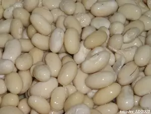 Haricots Tarbais