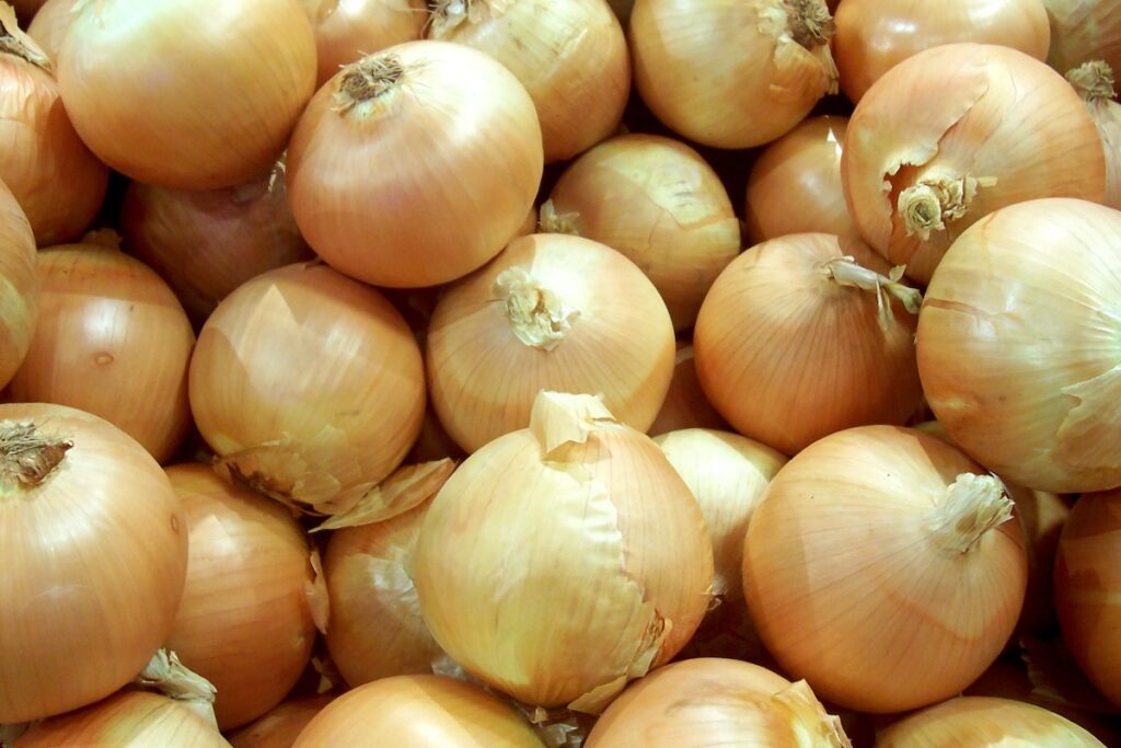 Tomates ©Susy Morris CC BY-NC 2.0