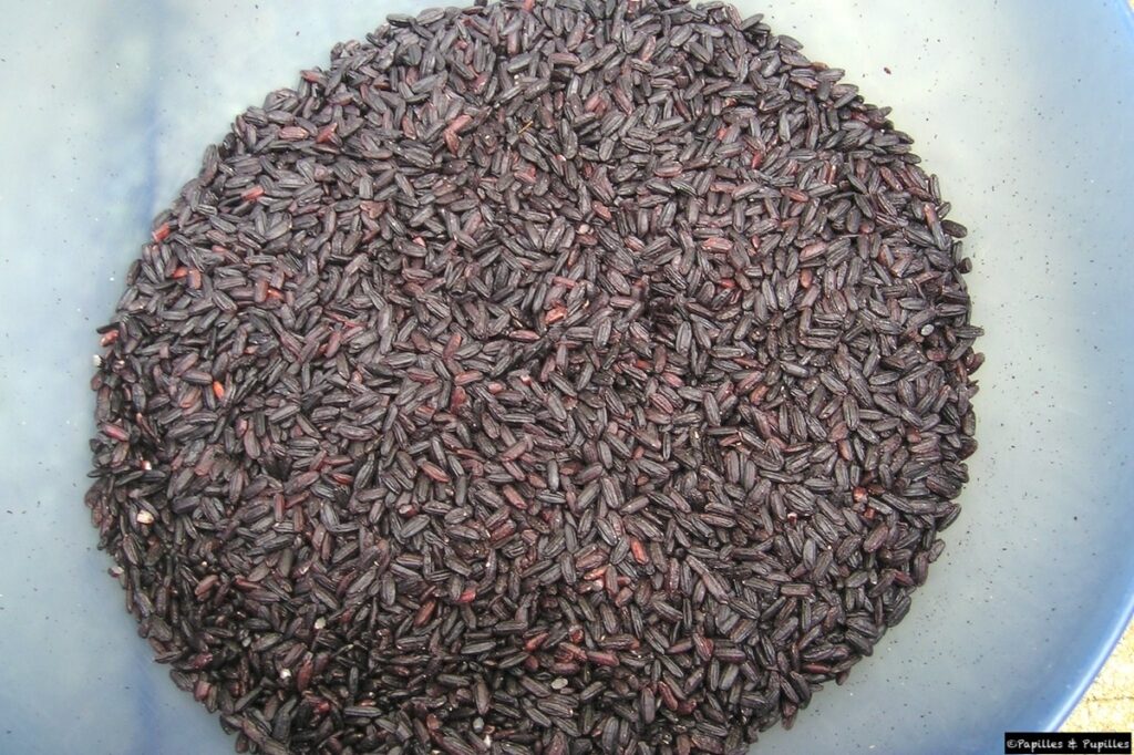 Riz noir